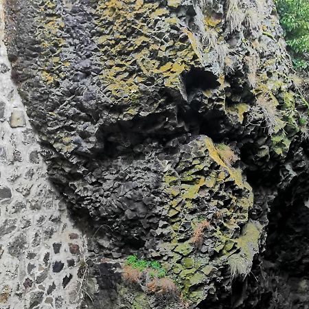 Gite 4 Pers Avec Cour, Vue Loire - Fr-1-582-122 Arlempdes المظهر الخارجي الصورة